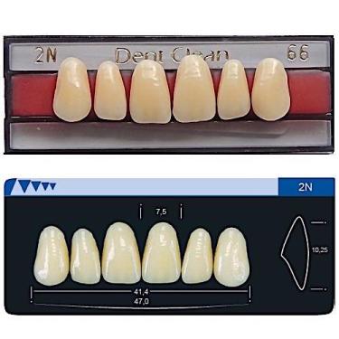 Imagem de Dente Dent Clean Anterior 2N Superior - Imodonto