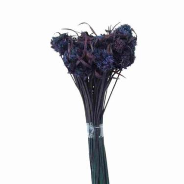 Imagem de Cebolão Roxo Desidratado - Pense Flores