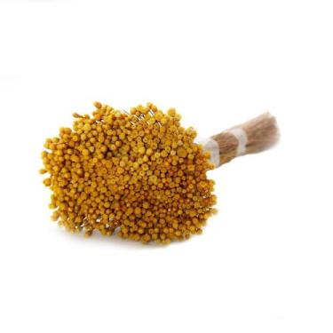 Imagem de Buque de Jazida Laranja Desidratado - Tem Flores