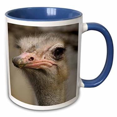 Imagem de 3dRose Caneca de dois tons com foto de animal de avestruz fofa Silly Cute 325 ml, azul/branca