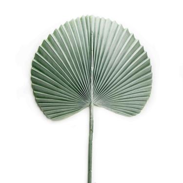 Imagem de Folha Artificial De Latânia Azul 83Cm