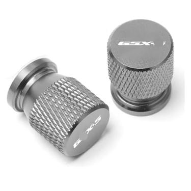 Imagem de Acessórios de tampas de haste de válvula de pneu de roda CNC compatíveis com S&uzuki GSX-S GSXS 125 150 750 1000/F/ABS GSX-S125 GSX-S750 GSX-S1000 (prata2)