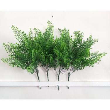 Imagem de Avenca samambaia kit com 2 avenca - Florarte, kit com 4 avenca