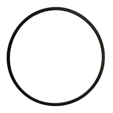 Imagem de O-ring Tampa do Pré-filtro para Bomba de Piscina NBF - Nautilus
