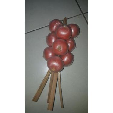 Imagem de Cebola artificial - Loja do Hippie