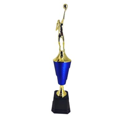 Imagem de Troféu de Vôlei Masculino Vitória Vencedor 502252 em Polímero Metalizado Dourado e Azul