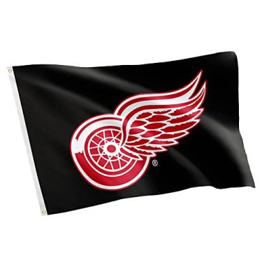 Imagem de Desert Cactus Bandeira do time Detroit Red Wings NHL National Hockey League 100% poliéster para ambientes internos e externos 1,5 m x 1,5 m (Design nº 2)
