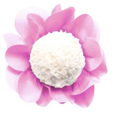 Imagem de Forminhas Para Doces Finos Casamentos Aniversário 40 unidades - Ultra 