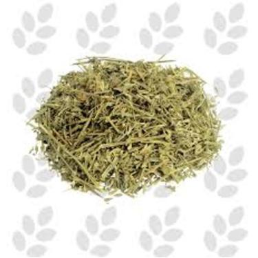 Imagem de Alfafa 100g Medicago sativa - L. Londriervas - LONDRIERVAS PRODUTOS NA