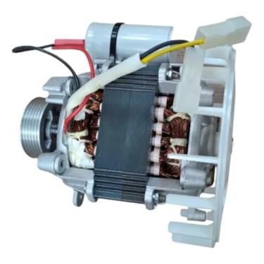 Imagem de Motor Tanquinho Lavadora Mueller Plus Cmp | 220v | Original