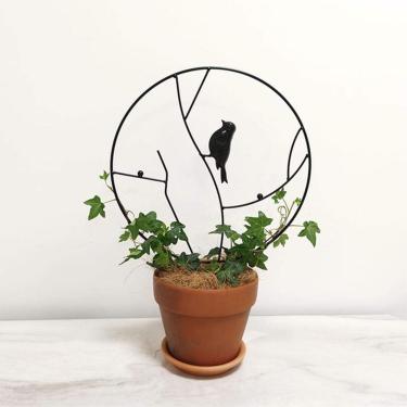 Imagem de Tnfeeon Suporte para Plantas de Ferro, Suporte de Escalada Resistente Com Ornamento de Pássaros, Resistente às Intempéries, Duradouro e Elegante para Jardins Internos e Externos (branco #85)