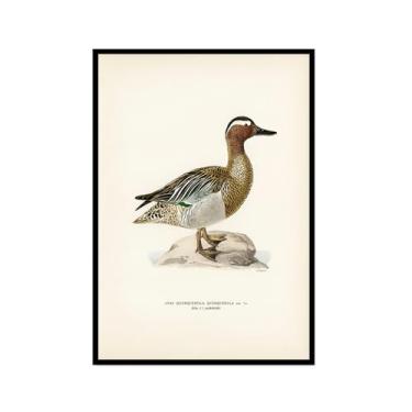Imagem de Impressão de pato vintage rústico Pato Pato Pato Lago pôster de arte de parede retrô natureza pintura em tela imagens decoração de quarto de fazenda (SKU1,8x30,5 cm = (20 x 30 cm), moldura preta)