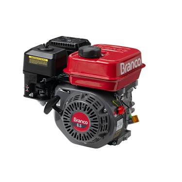 Imagem de MOTOR A GASOLINA B4T-6.5H