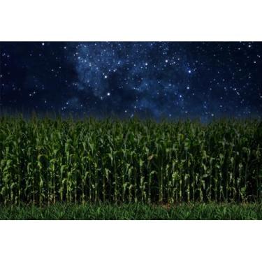Imagem de DORCEV Faixa de fundo de campo de milho de 3,7 x 2,4 m, céu estrelado, fundo de fotografia de campo de milho verde, culturas rurais, campo, outono, fazenda, colheita, festa, decoração, sessão de fotos