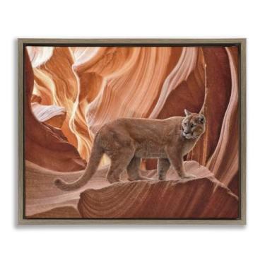 Imagem de Stupell Industries Cougar Canyon View Brown Framed Floater Canvas Wall Art Design por Collin Bogle, 25 x 31