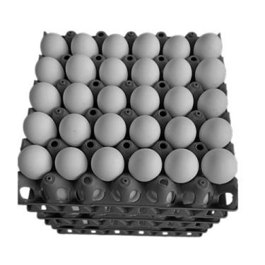 Imagem de Kit 5 Porta Ovo Cartela Plástica P/30 ovos Bandeja Higiênica - Conveni