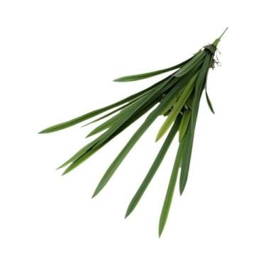 Imagem de Orquídea Artificial De 15/16/24 Folhas Com Toque Realista, Plantas De 