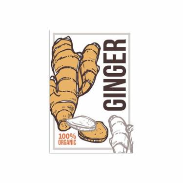 Imagem de Placa Decorativa MDF Tempero Frase Ginger Organic 30x40cm - Quartinhos