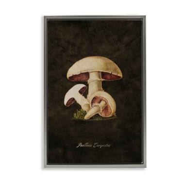Imagem de Stupell Industries Vintage Portobello Mushroom Framed Floater Canvas Wall Art Design por Tina Higgins Designs, Inc., Moldura Flutuante Cinza, 43 x 63 cm