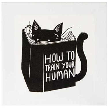 Imagem de Arte Maníacos Quadro Decorativo em Tela Canvas Gato How To Train Your Human - 46x32,5cm