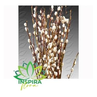 Imagem de Kit 100 Galhos Vime Bolinha Casamento Noiva Decoração Arranjo Floral F