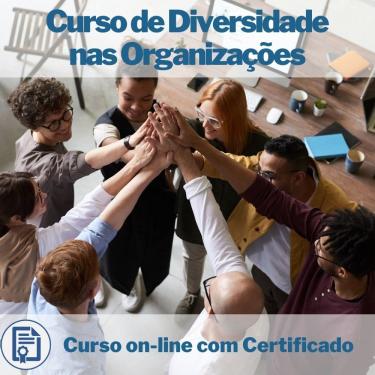 Imagem de Curso Online em videoaula de Diversidade nas Organizações com Certificado