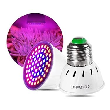 Imagem de Lâmpada 5W Para Plantas de Led - Vai Ajudar Suas Plantas se Desenvolverem Rápido