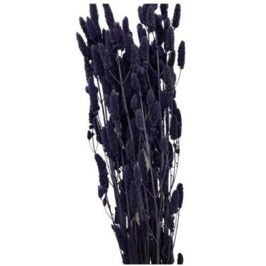 Imagem de Capim Rabo de Coelho - Inspira Flora, Roxo