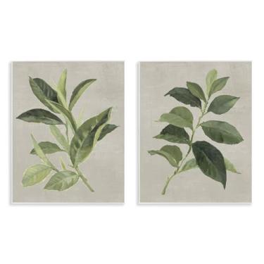 Imagem de Stupell Industries Conjunto de arte de placa de parede de 2 peças de folhas de planta de chá e café verde, design de Lanie Loreth, 28 x 35 cm
