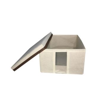 Imagem de Caixa Sapateira Com Visor E Tampa Organizar 20Cm