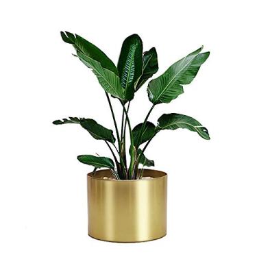 Imagem de Vaso de plantas em metal dourado Rising Star, vaso de flores de 20,32 cm x 15,24 cm