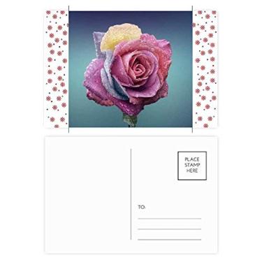 Imagem de Cartão postal para celebração de flores de Natal com rosas escuras, rosa escuro