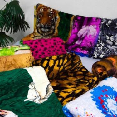 Imagem de Kit 2 Cobertor Manta Microfibra Casal Estampadas Vestcasa - Vest Casa 