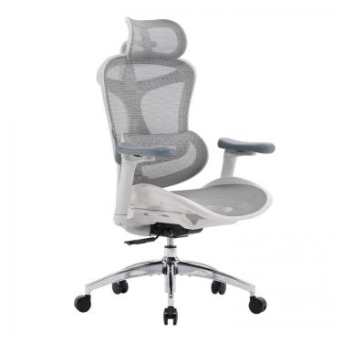 Imagem de Cadeira Ergonômica SIHOO Doro C300 com Apoios de Braço 3D Ultra Suaves, Suporte Lombar Dinâmico, Encosto Ajustável, Giratória para
