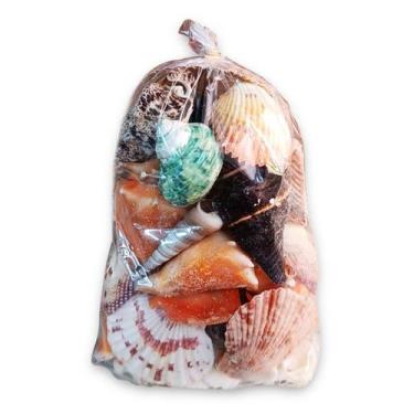 Imagem de Kit Mix de Conchas Espirituais Conexão Divina - Flash