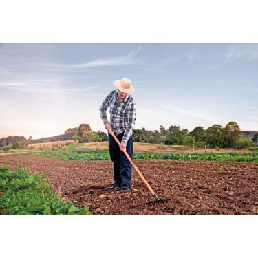 Imagem de Ancinho Curvo Leve 12 dentes  Sem Cabo Tramontina