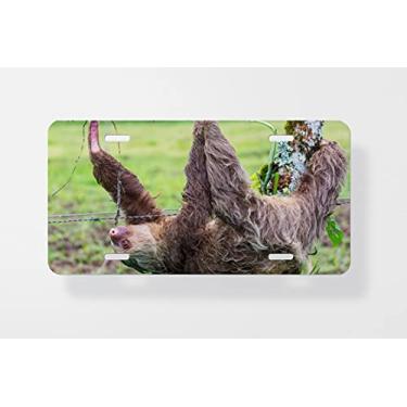 Imagem de Capa para placa de carro bicho-preguiça 2 – Capa para placa de carro – Capa para moldura de placa de carro 15 x 30 cm