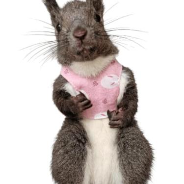 Imagem de Arreio de esquilo, conjunto de coleira para animais de estimação pequenos, roupas macias para uso ao ar livre para porquinho-da-índia chinchila esquilo furão (rosa C)