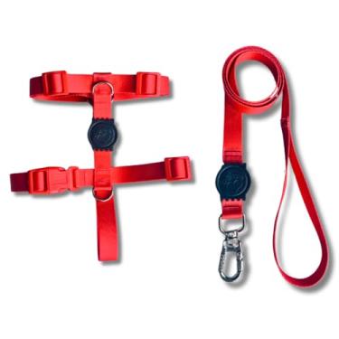 Imagem de Coleira Peitoral Tipo H para Cães - Anti-Puxão com Guia de 1,10m | Varias Estampas (Vermelho,P)