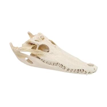 Imagem de Ioensy Escultura realista de crânio de crocodilo e caveira de jacaré, modelo de osso de resina, ornamento para sala de estar, cozinha, Halloween