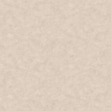 Imagem de Papel De Parede Nature Pedra Bege Tonu8008