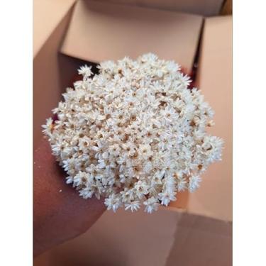 Imagem de Saia Tule 40cm Elástica | 6 Cores Vibrantes | Para Festas e Carnaval | Presente Feminino Encantador(Branca/Natural,1 buquê (150 flores))