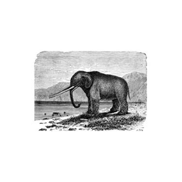 Imagem de e.x.o.b.o | Notizbücher: Umfangreiches und exotisches Blanko-Journal mit einzigartiger Vintage-Handzeichnung (Mastodon)