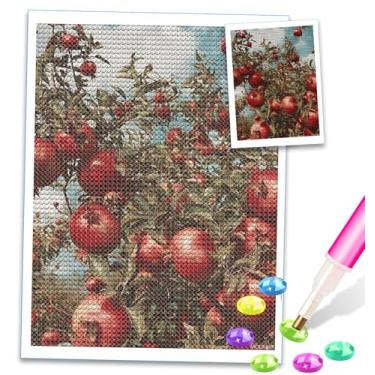 Imagem de MOER SKY Kits de pintura de diamante 5D de romã para adultos iniciantes faça-você-mesmo com brocas completas redondas de diamante com pontos, kits de artesanato de diamante, arte de pedra preciosa