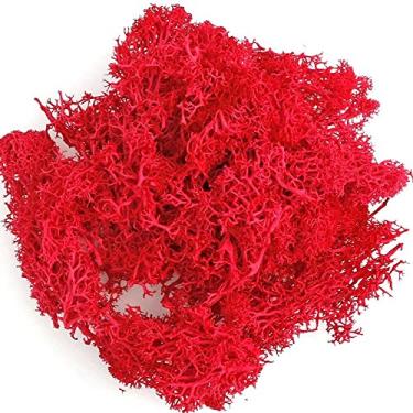 Imagem de Eternal Moss 20 g decoração de jardim artificial mini paisagem plantas verdes sala de estar flores artificiais (vermelho)