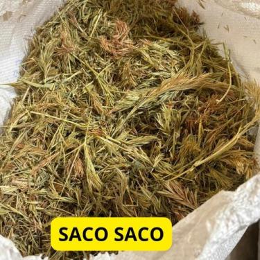 Imagem de Erva Saco Saco 250g (Erva Desidratada) - Life Magazine