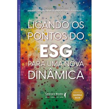 Imagem de Ligando Os Pontos Do Esg Para Uma Nova Dinâmica - LITERARE BOOKS, 3
