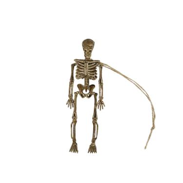 Imagem de Homoyoyo 4 Pcs Acessórios Casa Assombrada Halloween Esqueleto Corpo Inteiro Mini Esqueleto Dia Das Bruxas Falso Esqueleto Humano Pequeno Esqueleto Corpo De Esqueleto Corpo Humano Brinquedo