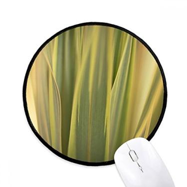 Imagem de DIYthinker Folhas de plantas natureza foto mouse pad desktop escritório tapete redondo para computador