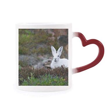 Imagem de Caneca branca de coelhos ciência natureza cenário sensível ao calor caneca vermelha muda de cor grés
